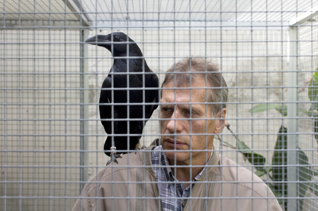 VELVET TERRRORISTS 9 Vladimir